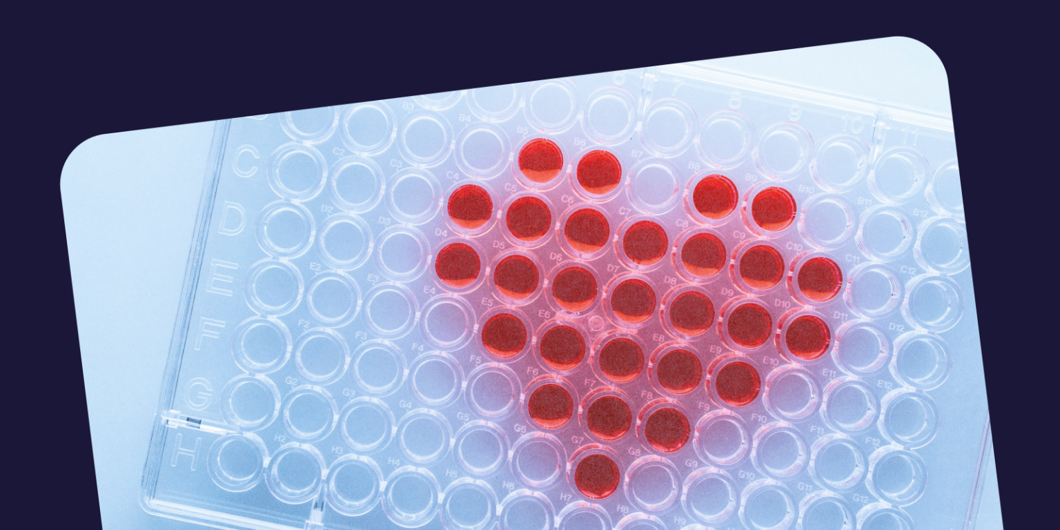 The Science of Love: Why We Fall for Certain People 